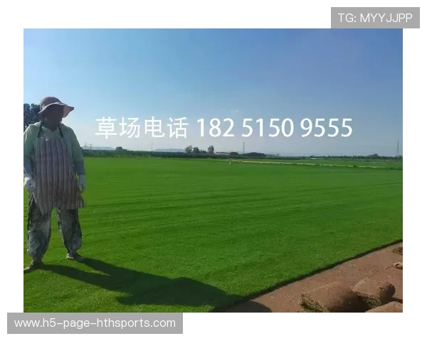 草地保养技术升级，比赛场地质量显著提高，草地养护有几个重要环节